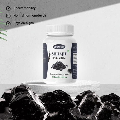 Shilajit (Asphaltum) 500mg – Natural Energy, Stamina & Vitality Booster | Ayurvedic Supplement | 60 Capsule
